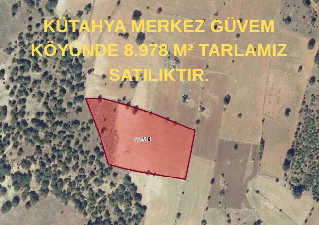 Fotoğraf